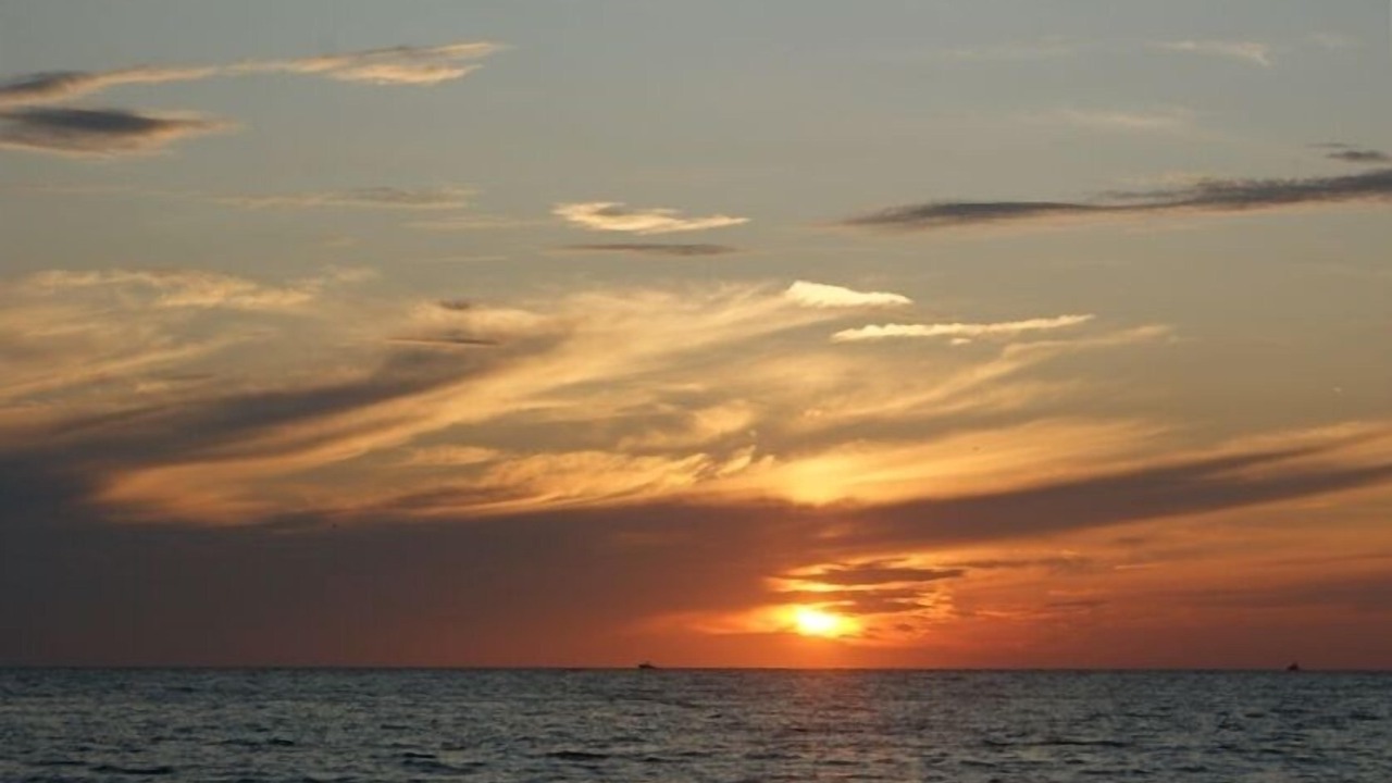 Photo of Others in Madeira Beach