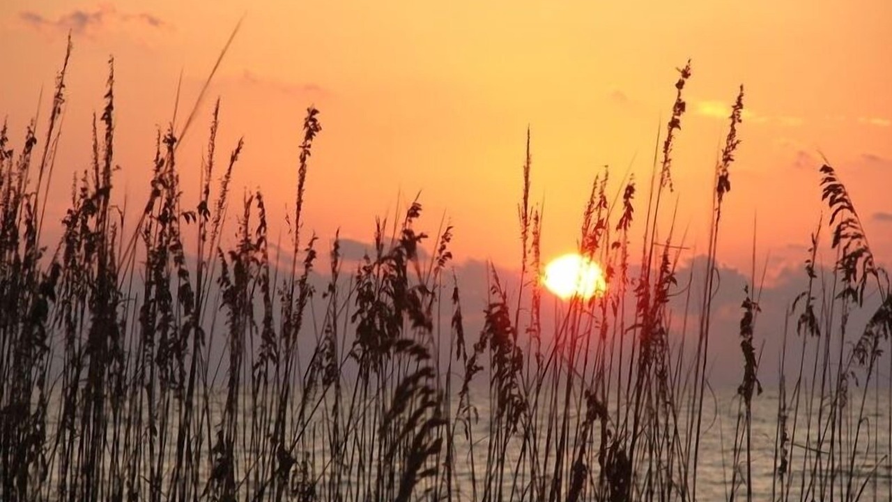 Photo of Others in Madeira Beach