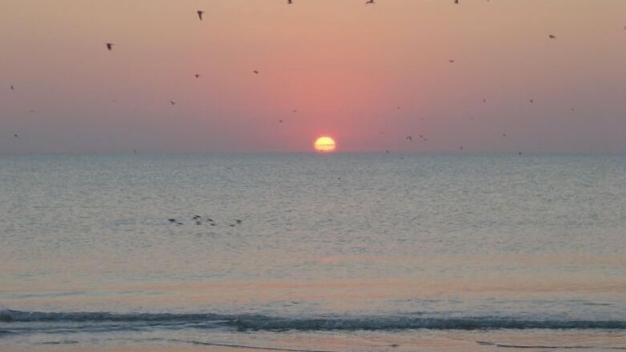 Photo of Others in Madeira Beach