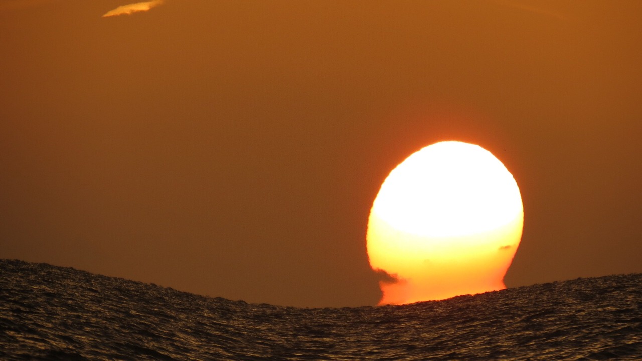 Photo of Others in Madeira Beach