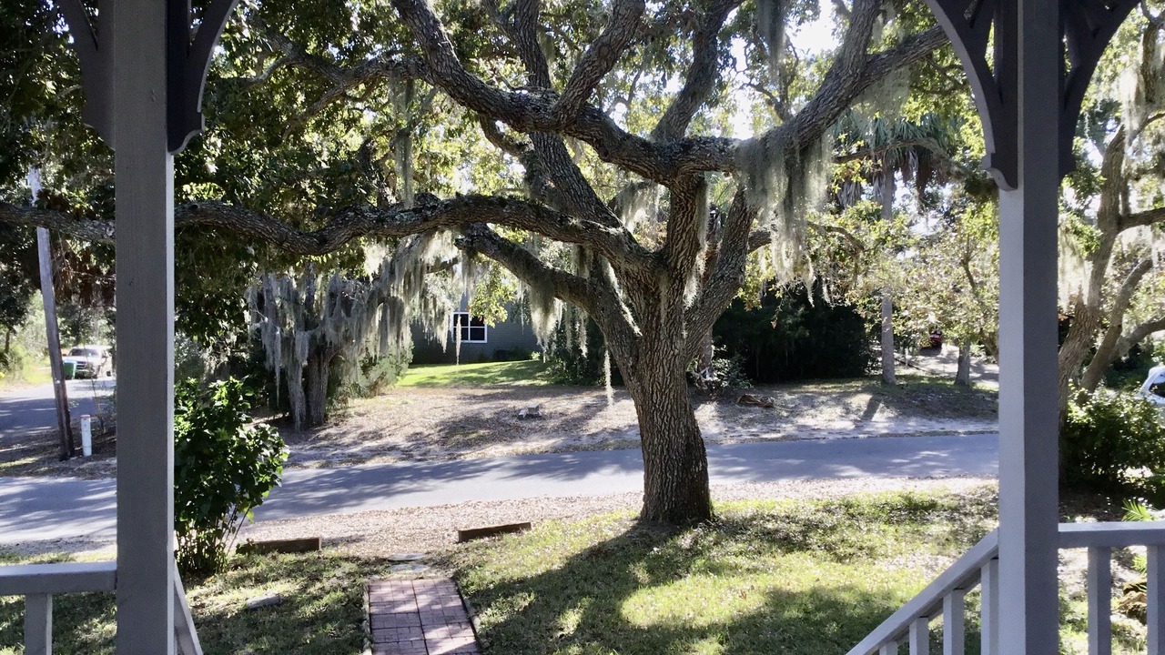 Photo of Outdoor in Cedar Key