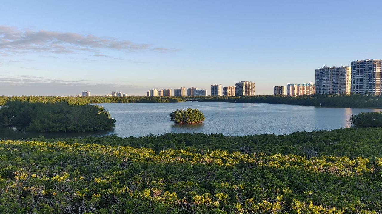 Photo of Others in Park Shore