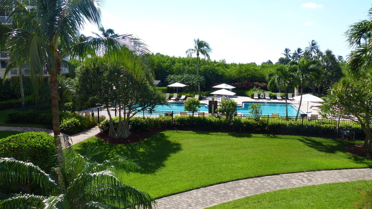 Photo of Outdoor in Park Shore