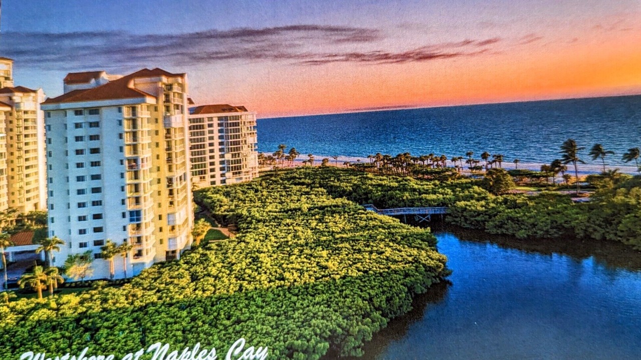 Photo of Others in Park Shore
