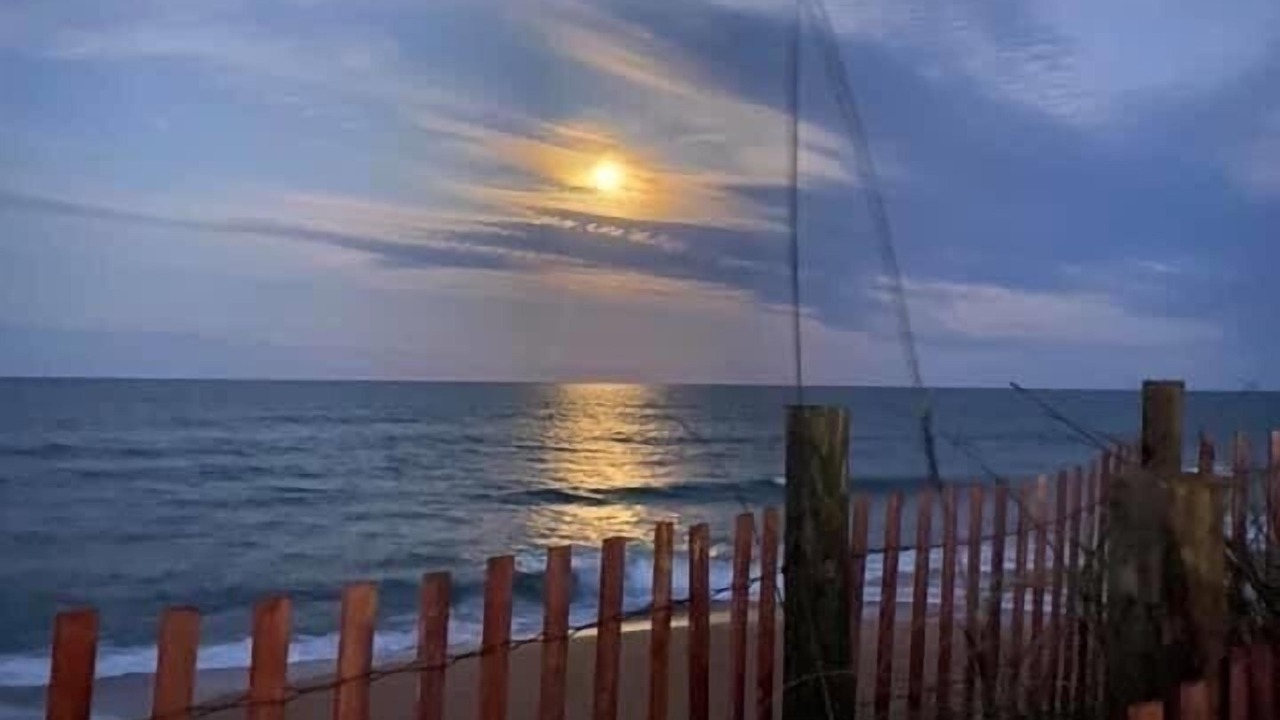 Photo of Others in Ormond-by-the-Sea
