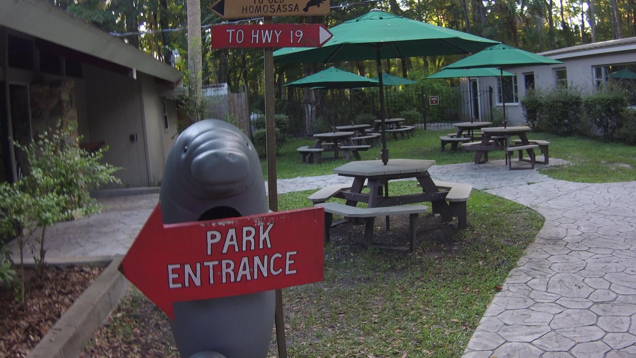 Photo of Others in Homosassa