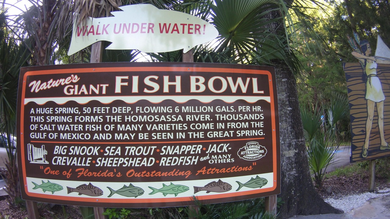 Photo of Others in Homosassa