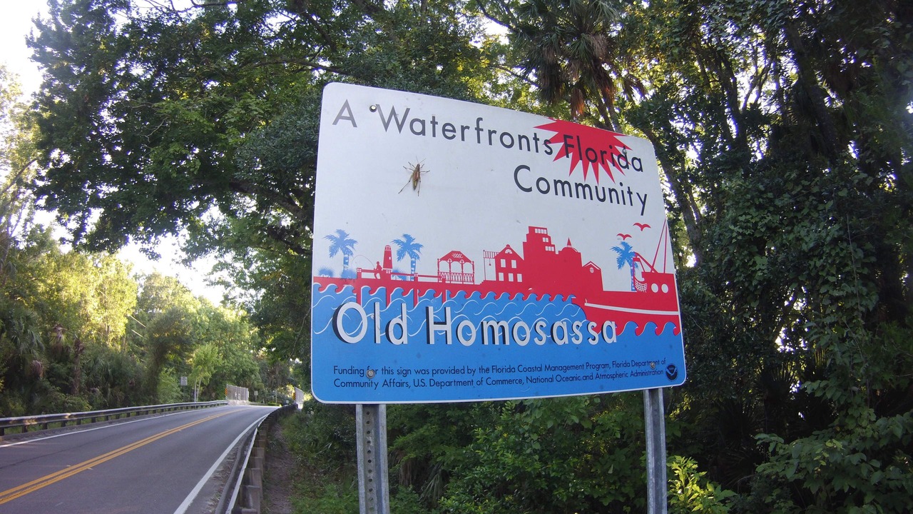 Photo of Others in Homosassa