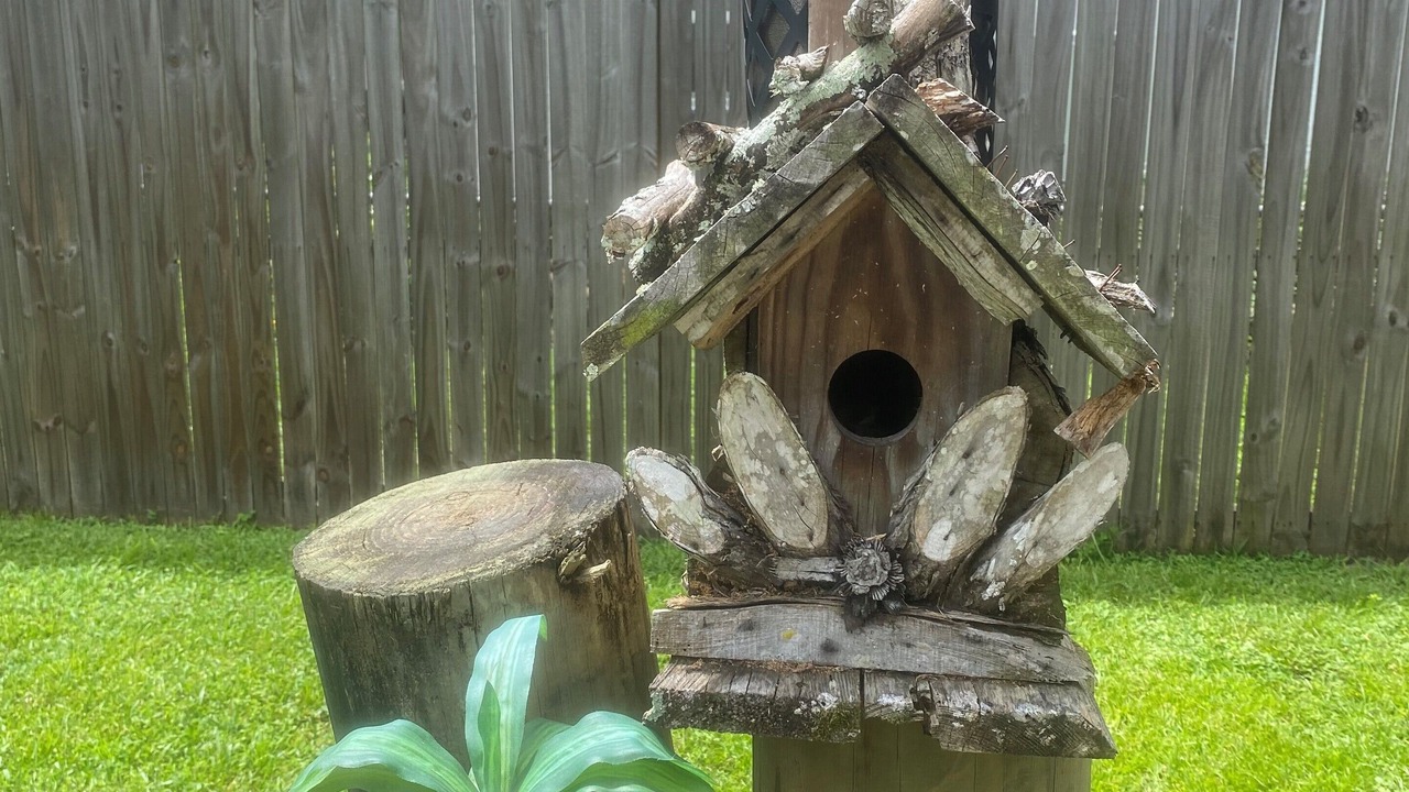 Photo of Outdoor in Homosassa
