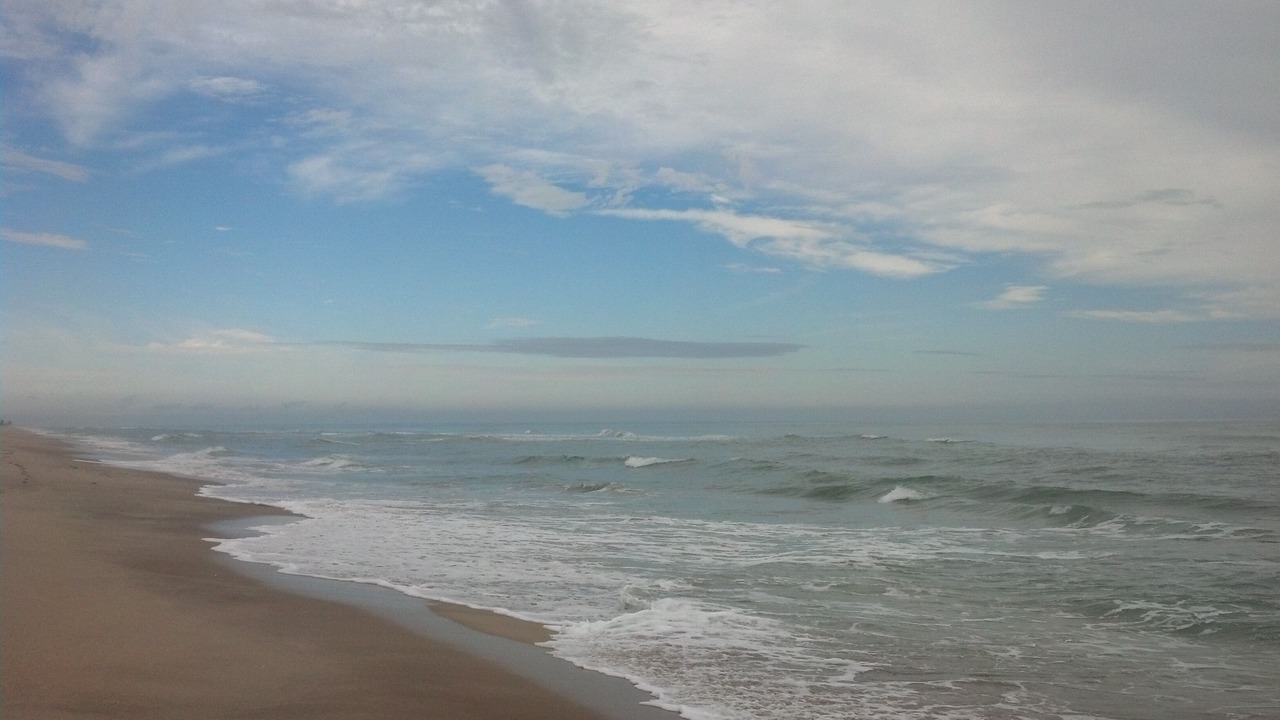 Photo of Others in Melbourne Beach