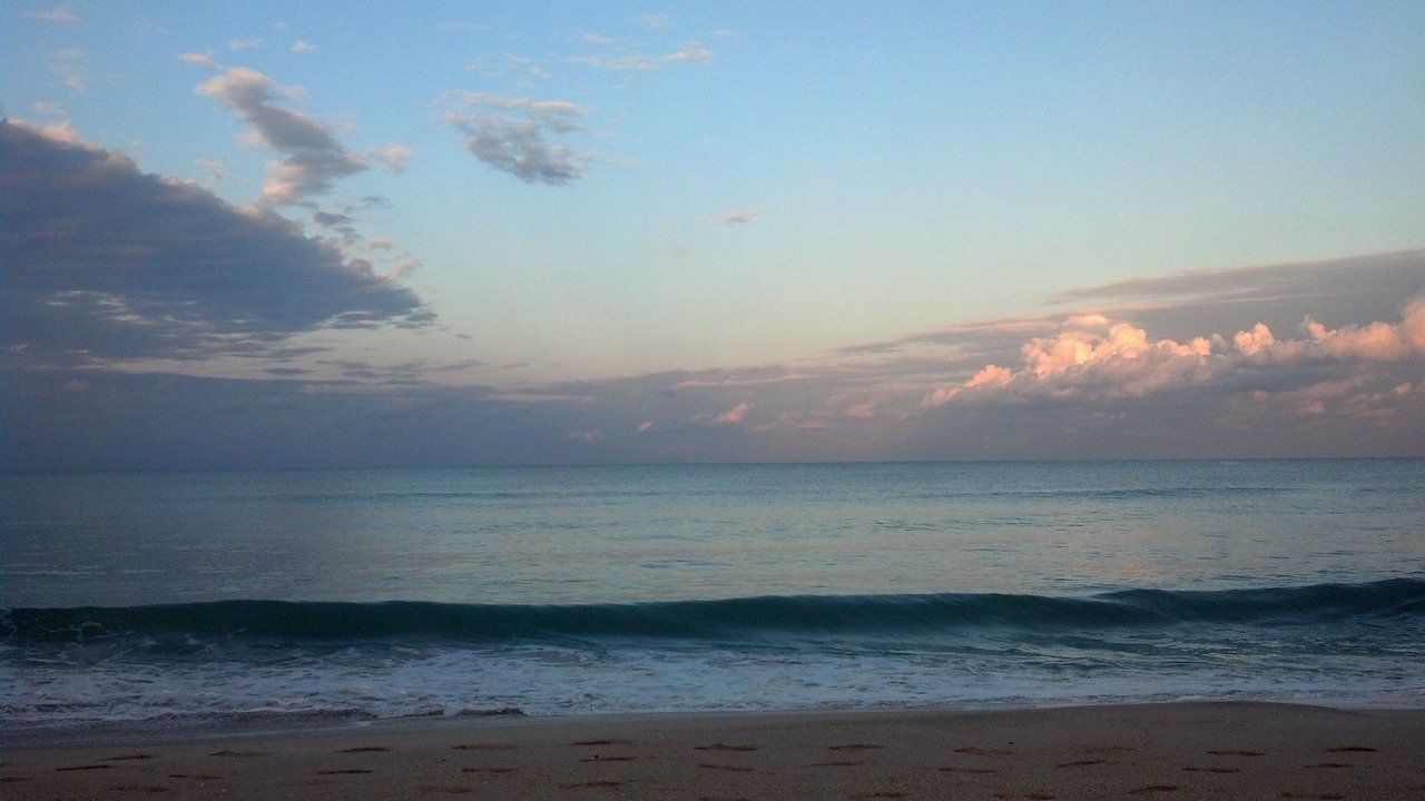 Photo of Others in Melbourne Beach