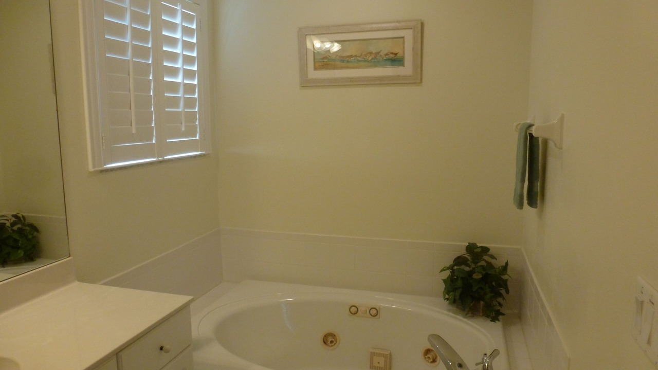 Photo of Bathroom in Melbourne Beach
