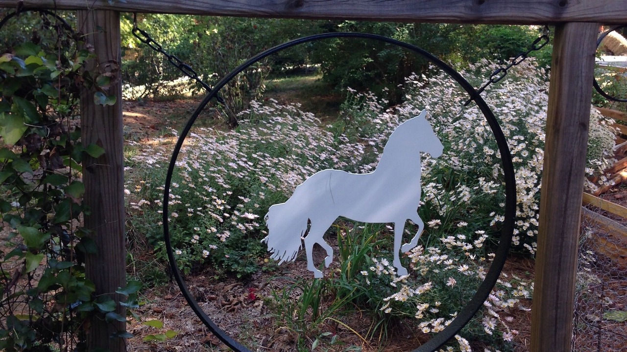 Photo of Outdoor in Sautee Nacoochee
