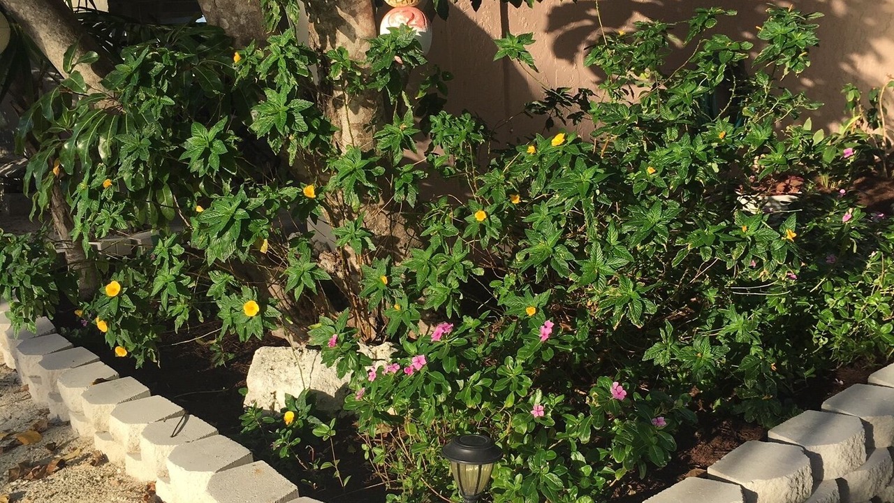 Photo of Outdoor in Layton