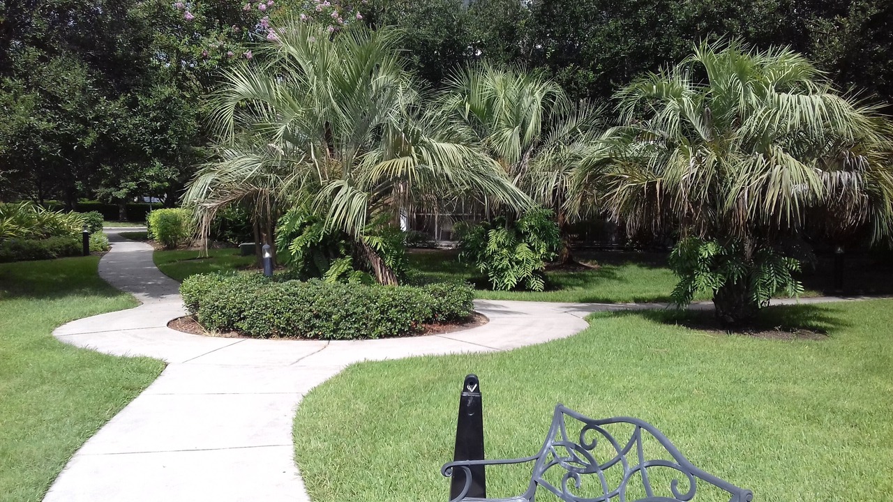 Photo of Outdoor in Bahama Bay