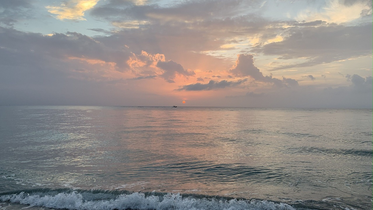 Photo of Others in Jupiter