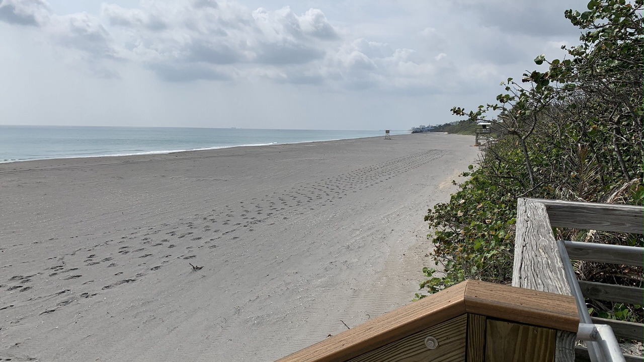Photo of Others in Jupiter