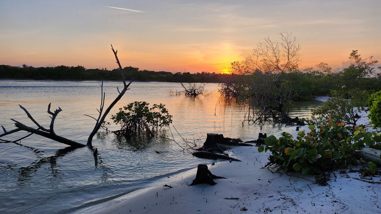 Photo of Others in Jupiter
