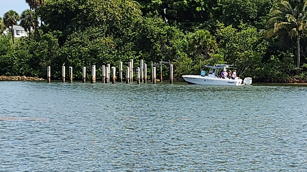 Photo of Others in Jupiter