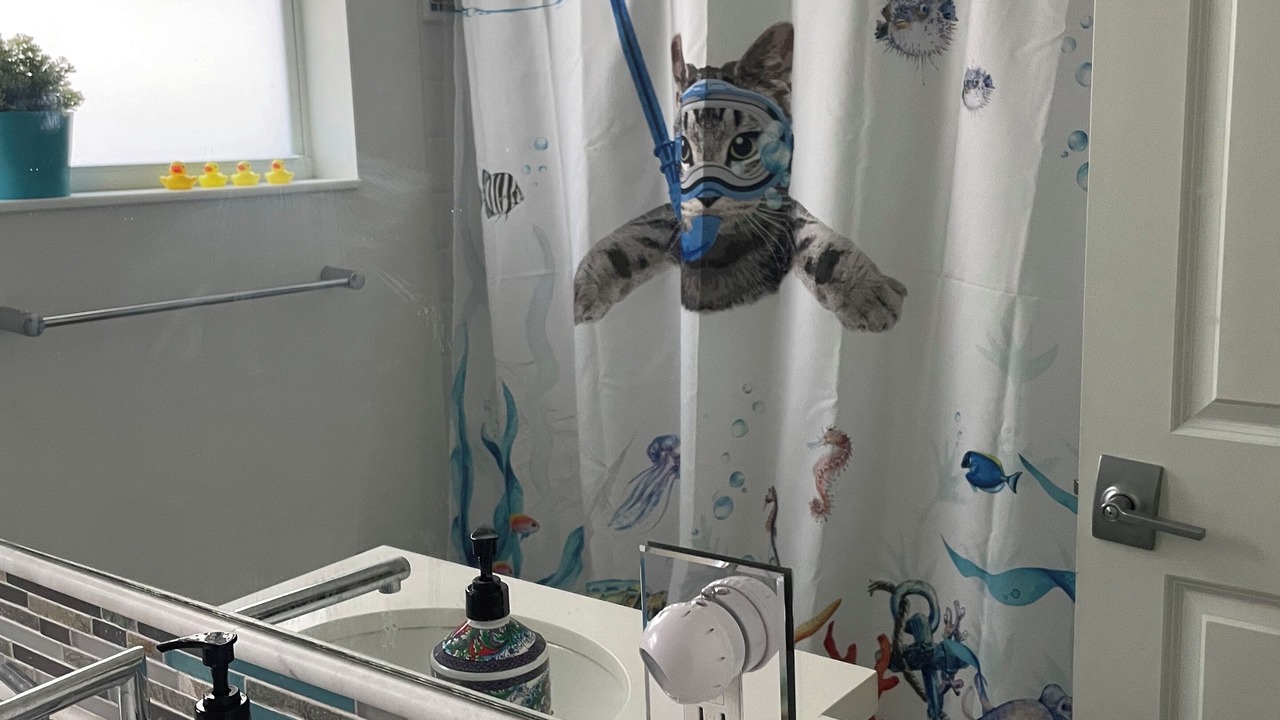 Photo of Bathroom in Hollywood