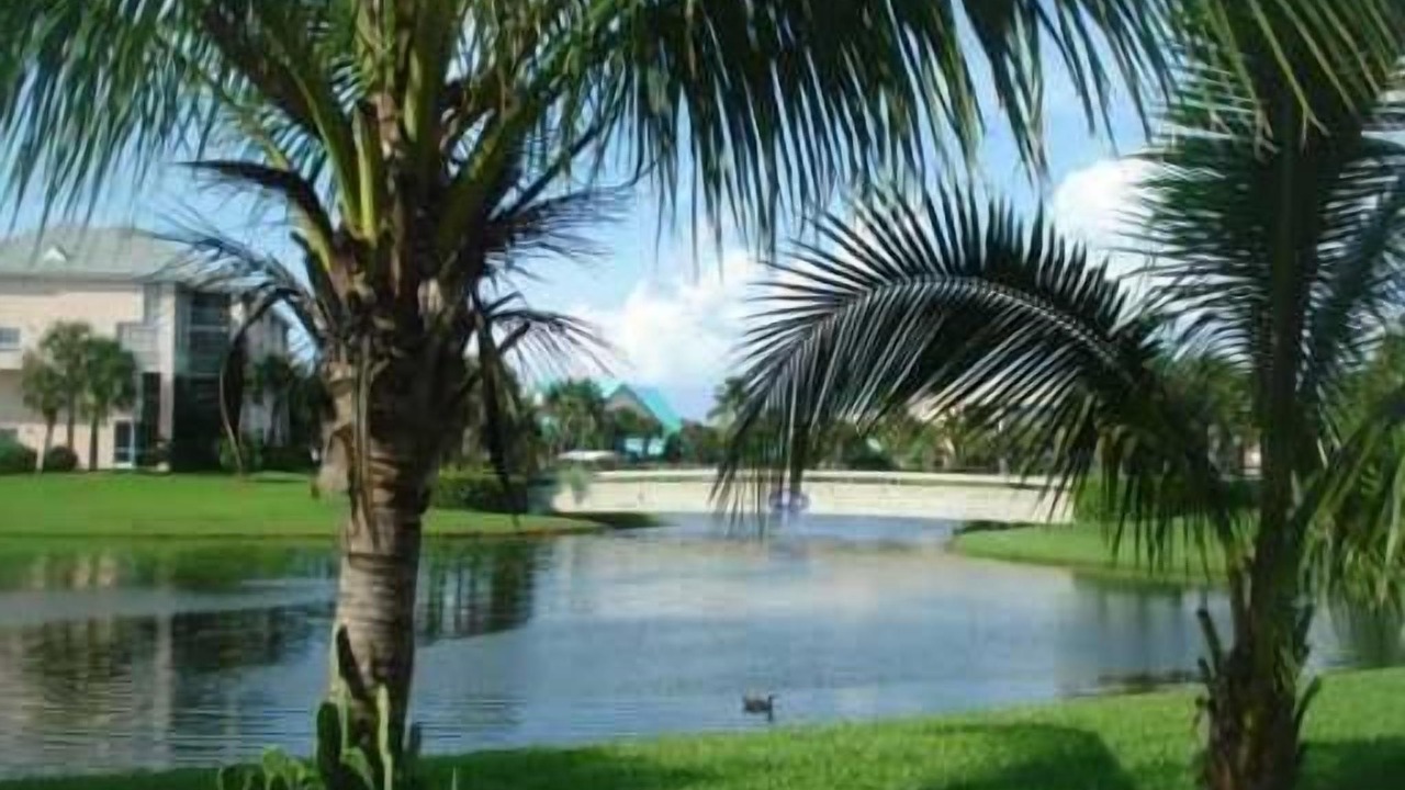 Photo of Outdoor in Jupiter Bay