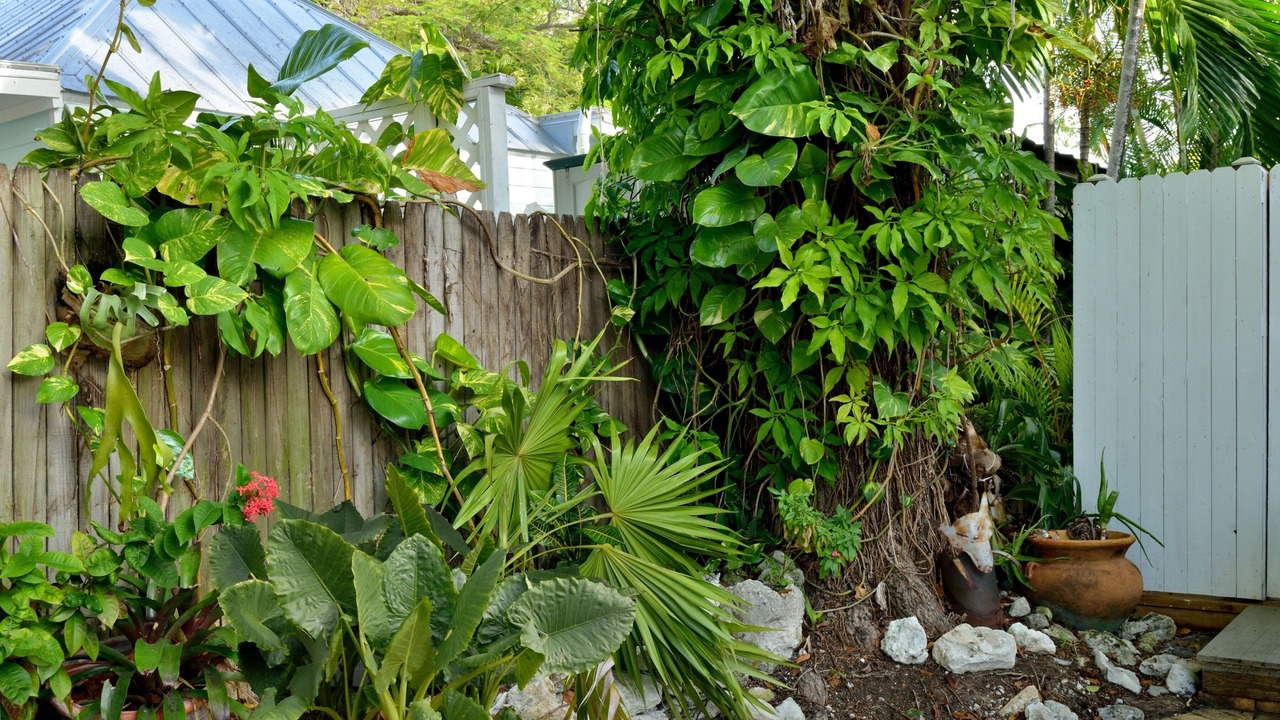 Photo of Others in Key West Historic District