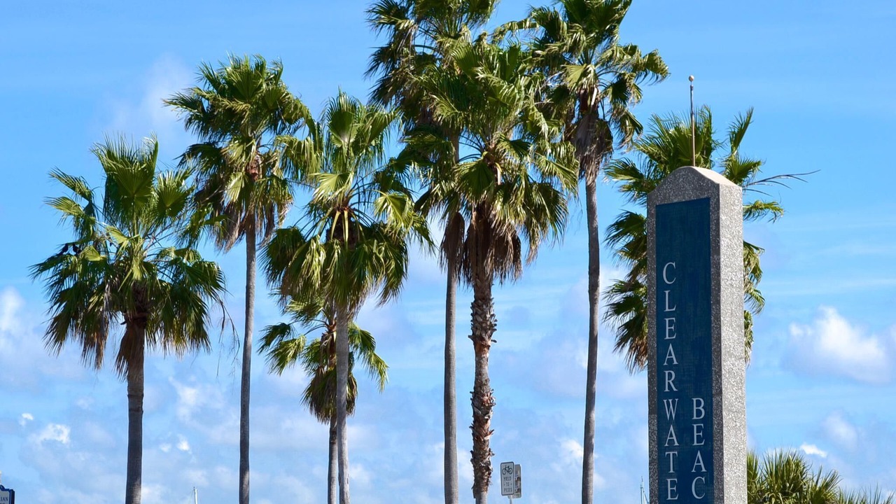 Photo of Others in Clearwater Beach