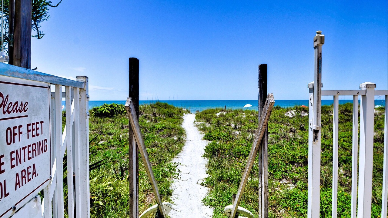 Photo of Others in Indian Rocks Beach