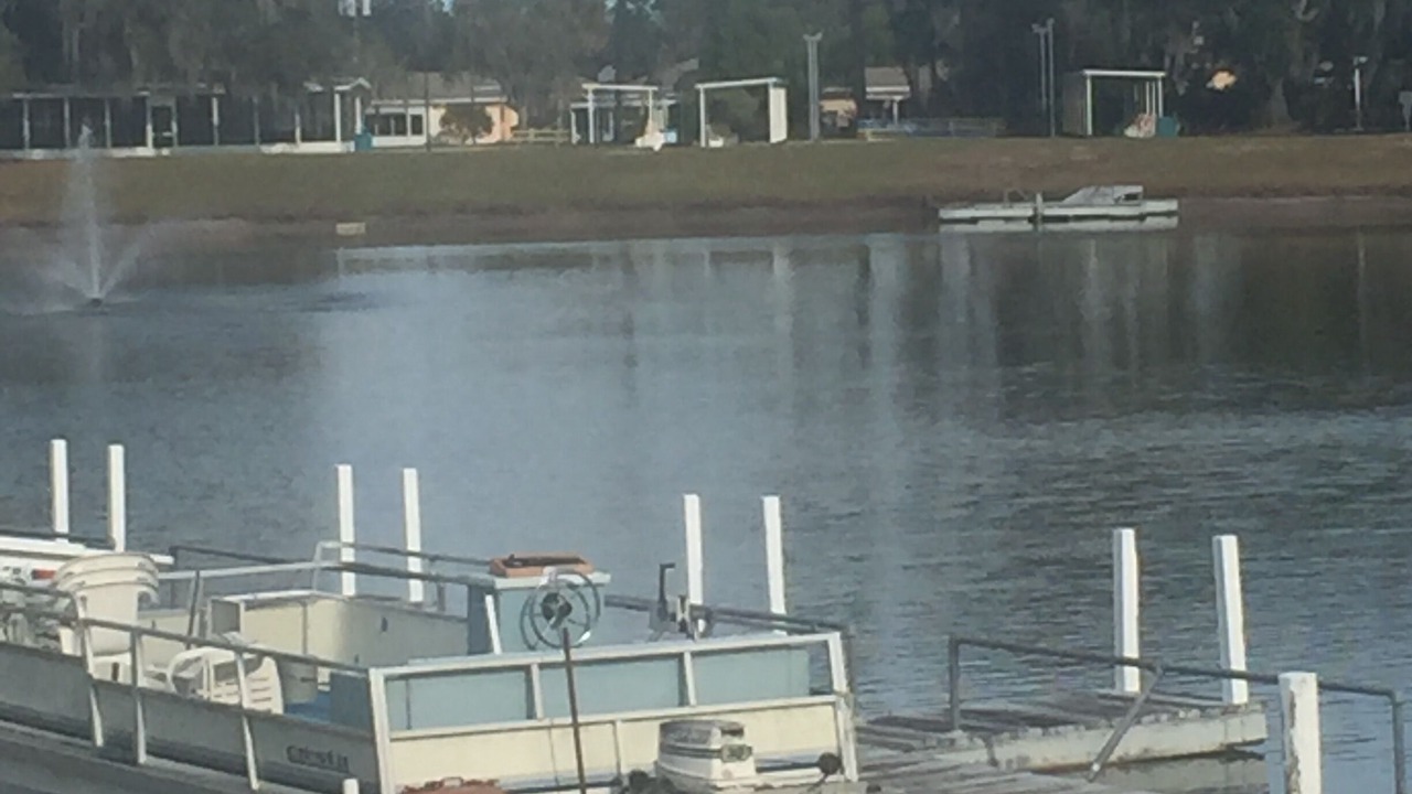 Photo of Outdoor in Fedhaven