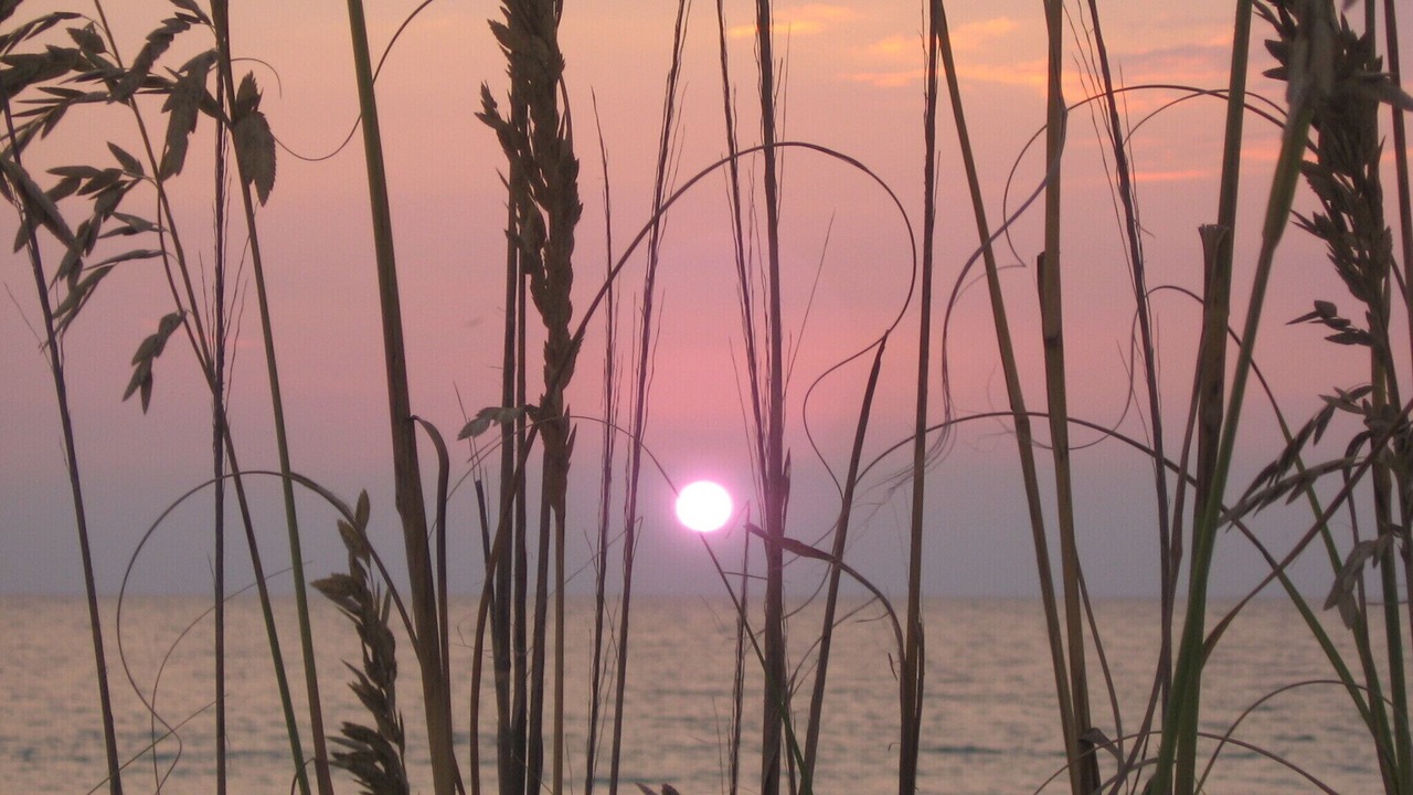 Photo of Others in Bradenton Beach