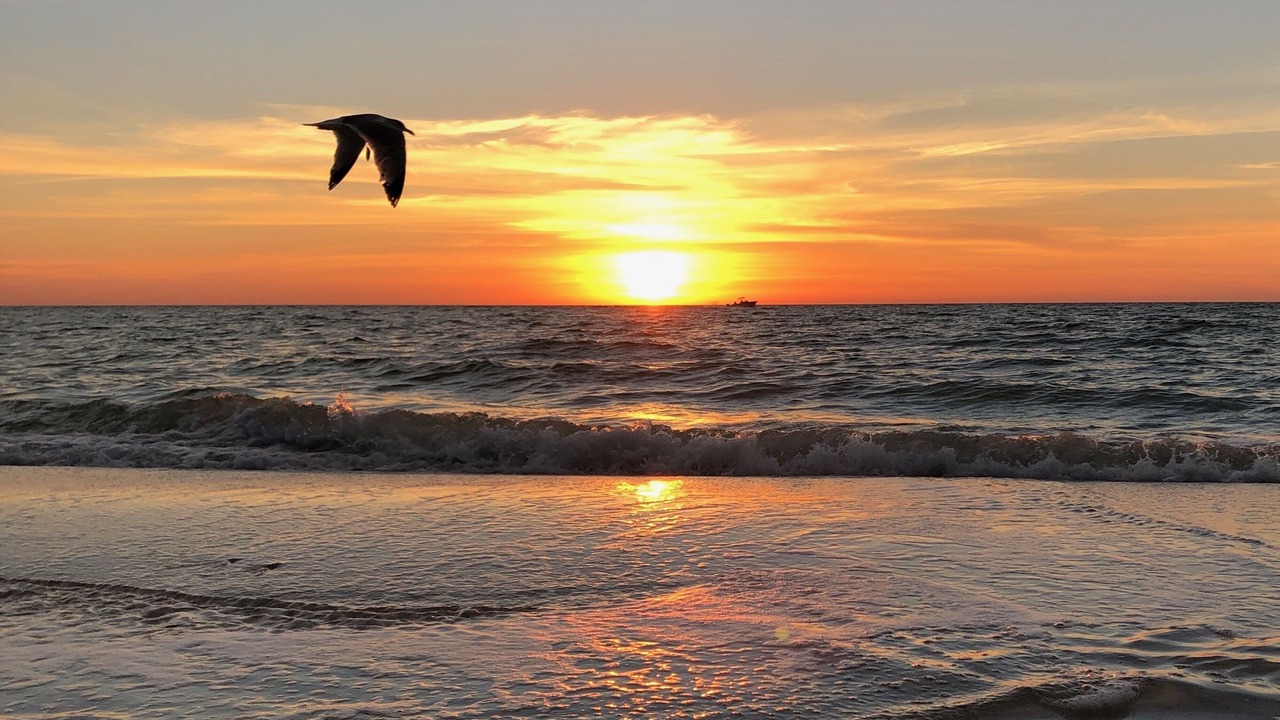 Photo of Others in Live Oak Landings