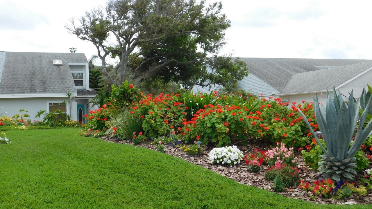 Photo of Outdoor in Vilano Beach
