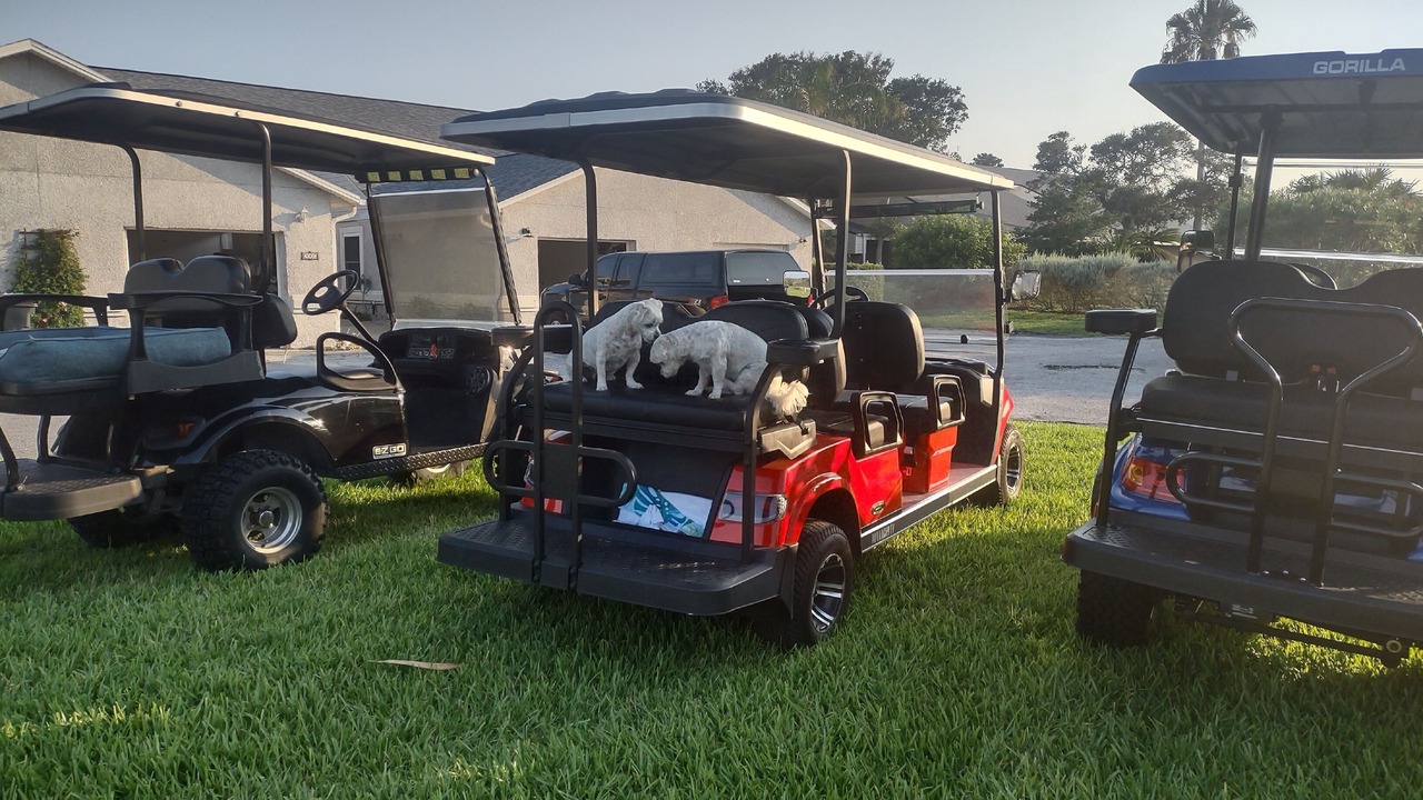 Photo of Outdoor in Vilano Beach