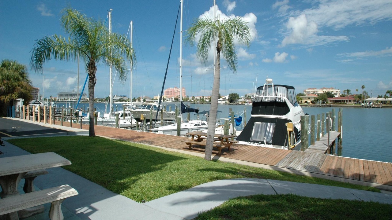 Photo of Outdoor in Clearwater Beach