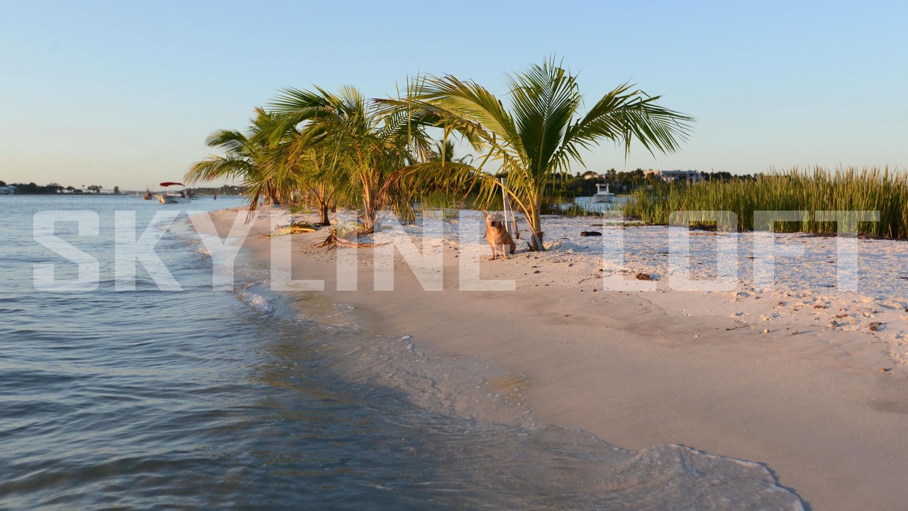 Photo of Others in Jensen Beach