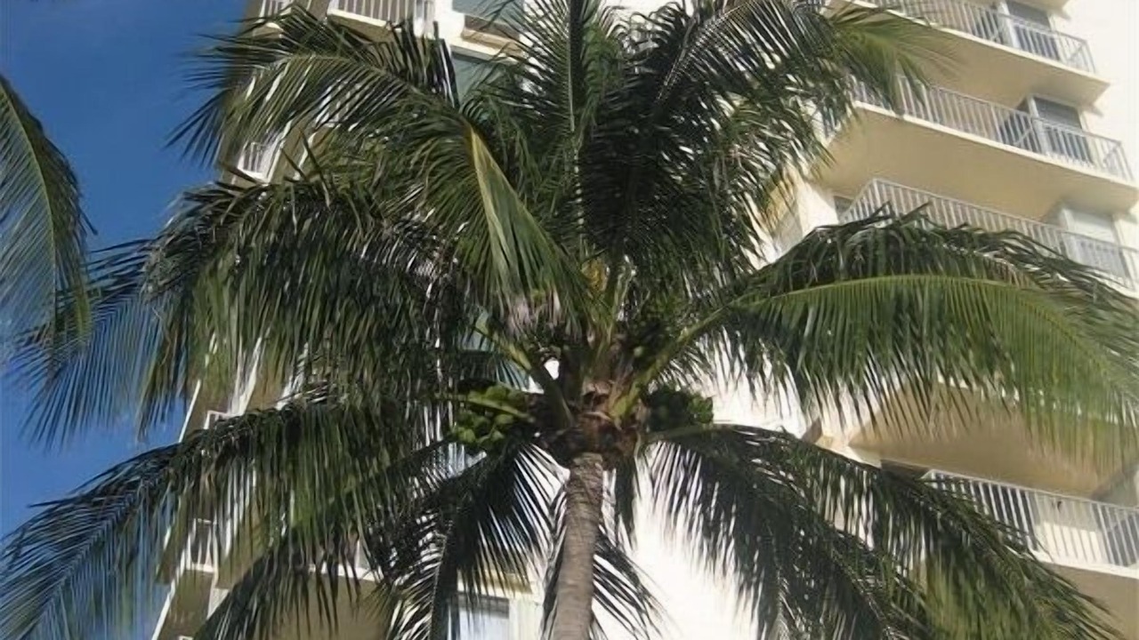 Photo of Outdoor in South Island