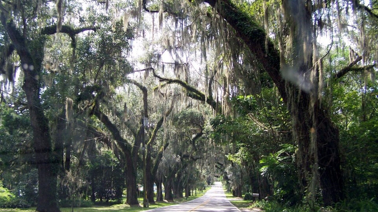 Photo of Outdoor in Floral City