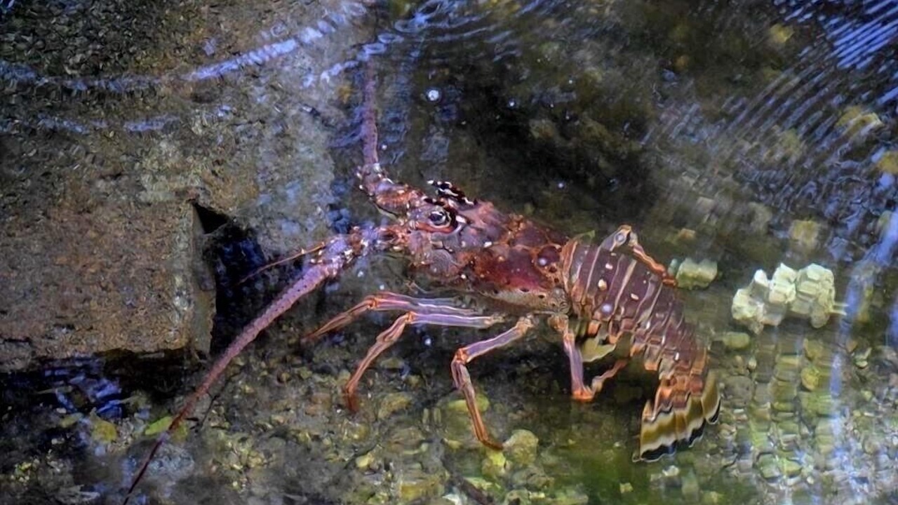 Photo of Others in Key Largo