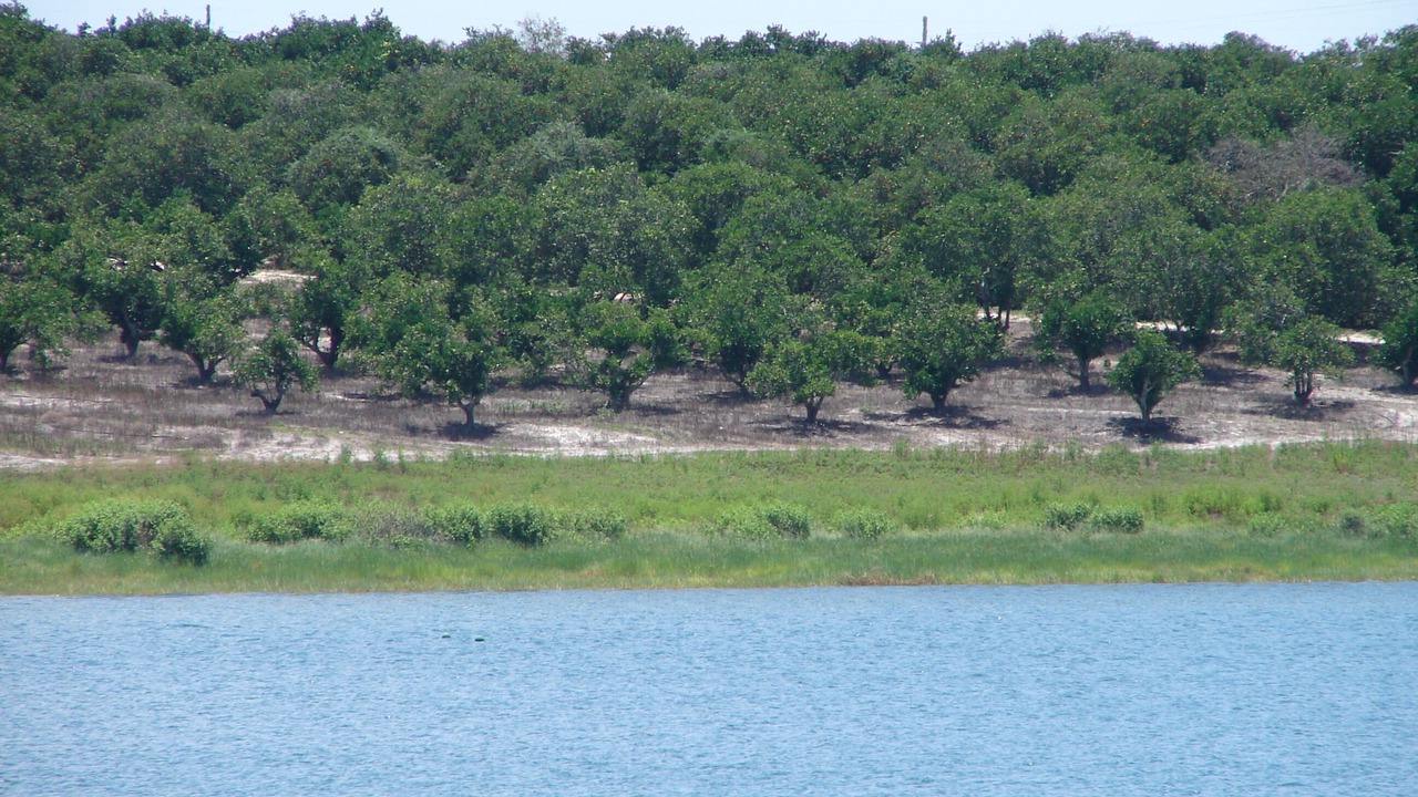 Photo of Outdoor in Lake Wales