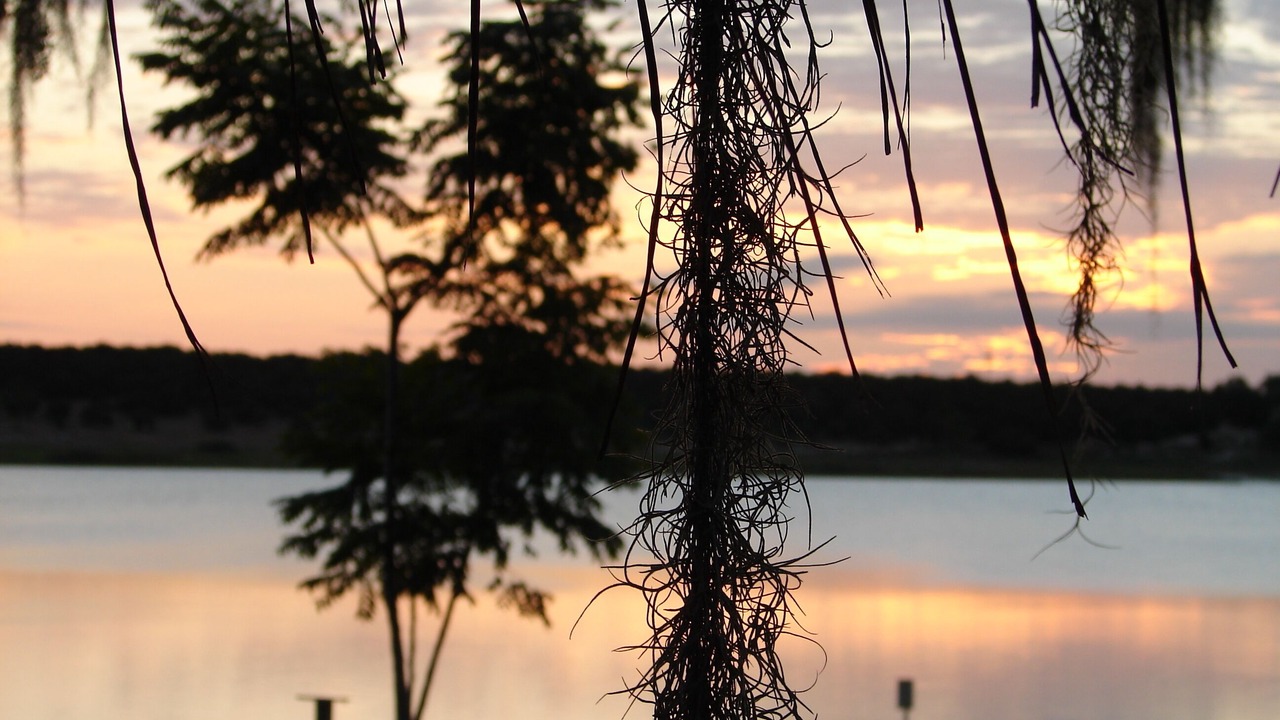 Photo of Outdoor in Lake Wales