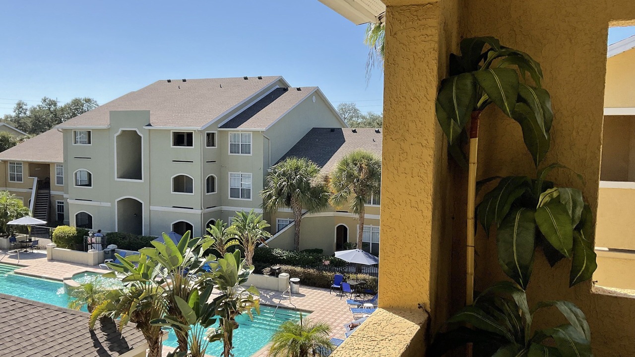 Photo of Outdoor in Clearwater