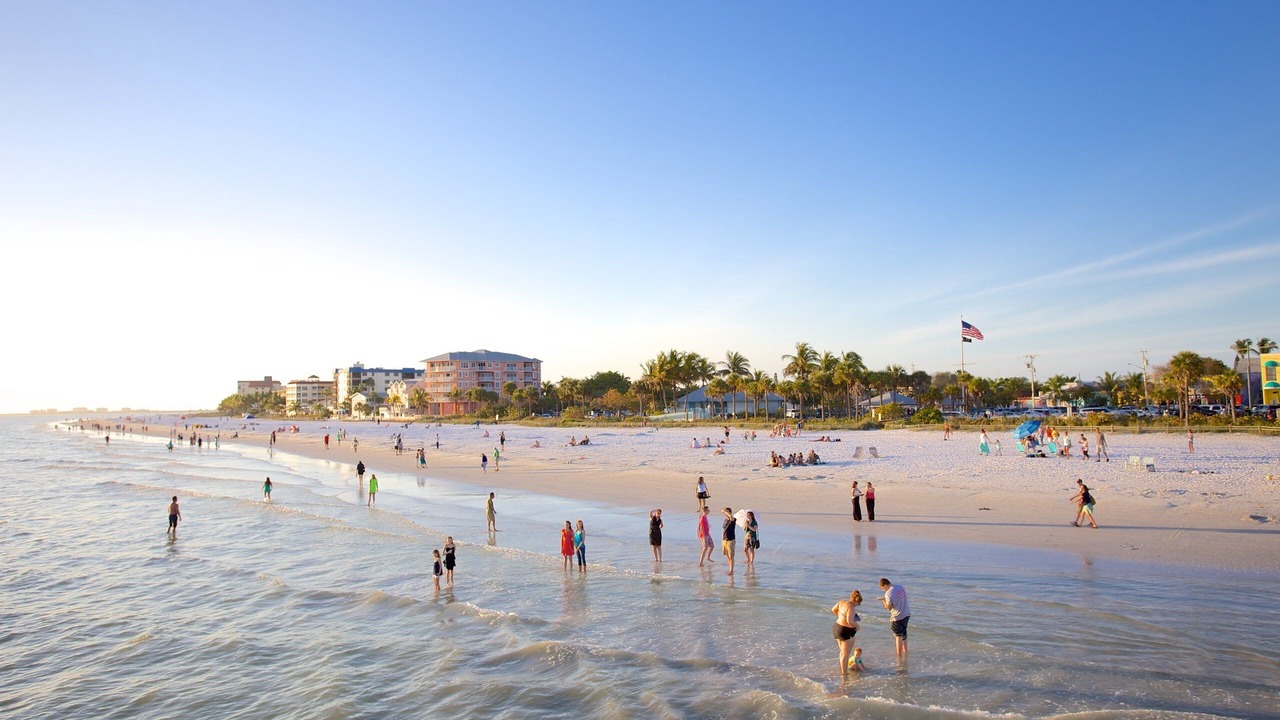 Photo of Others in Mid Island