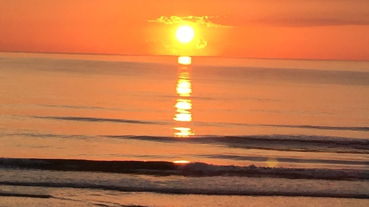 Photo of Others in New Smyrna Beach