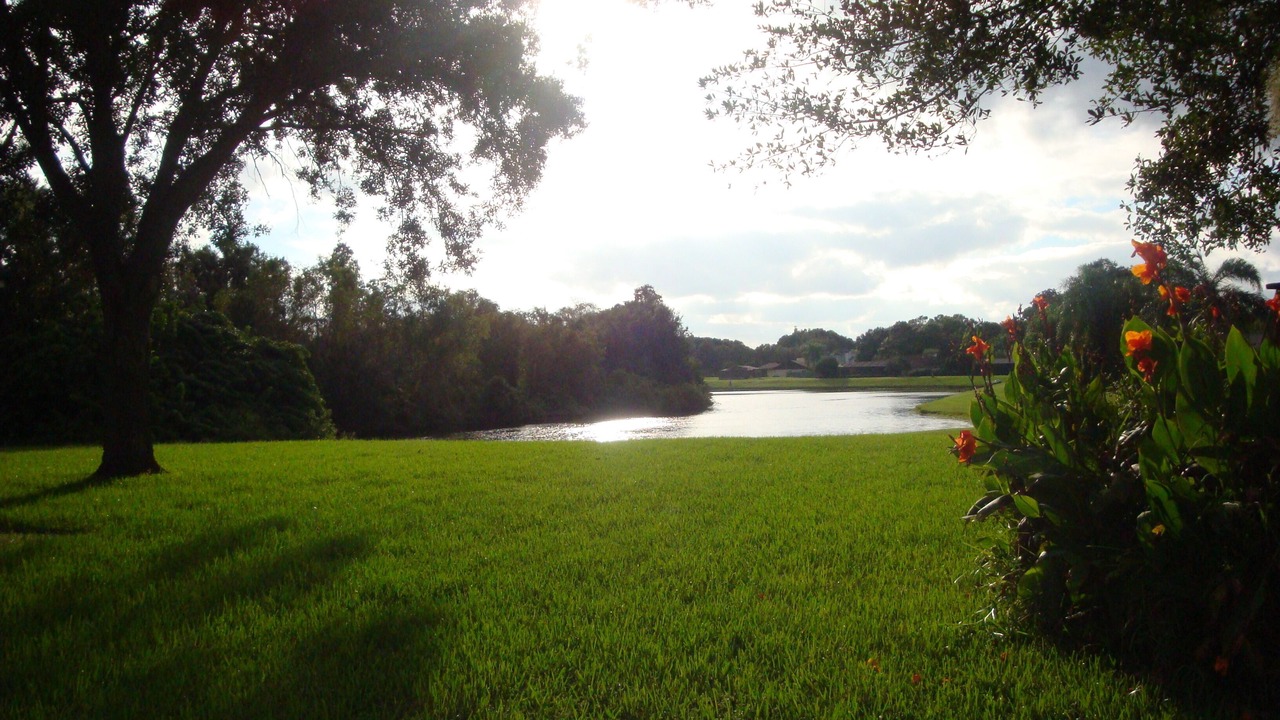 Photo of Outdoor in Carrollwood