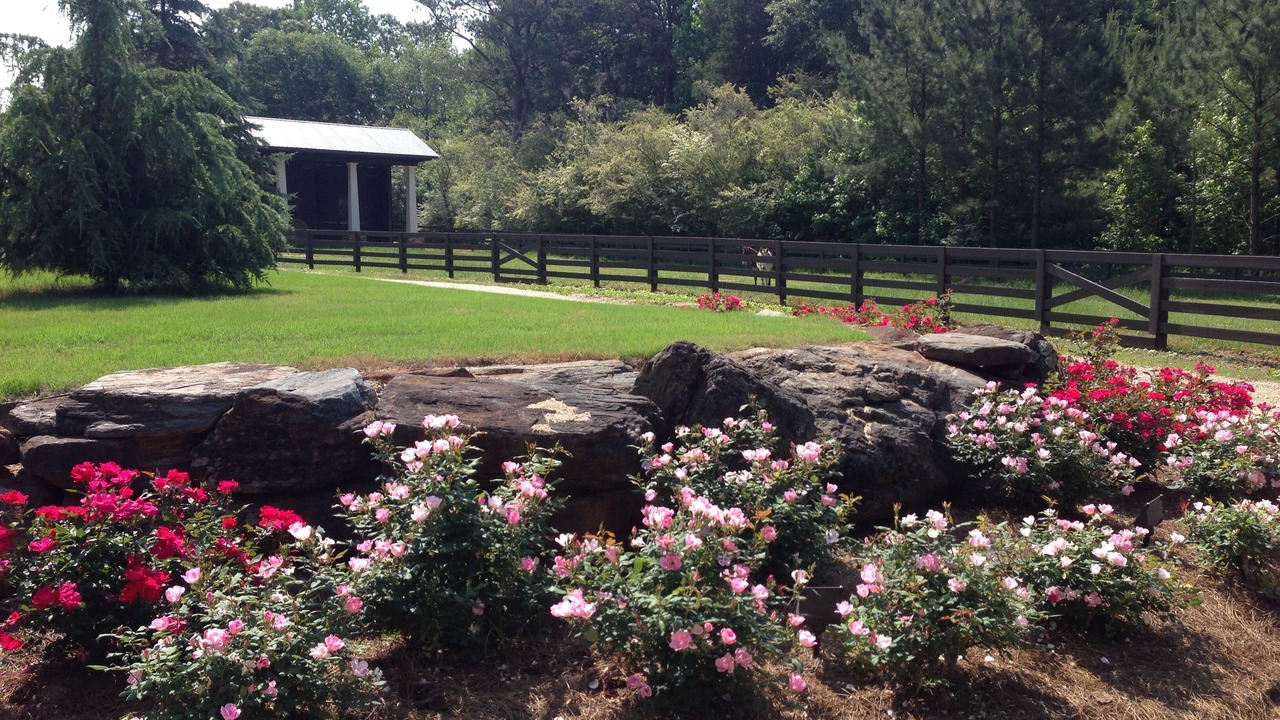 Photo of Outdoor in Mountville