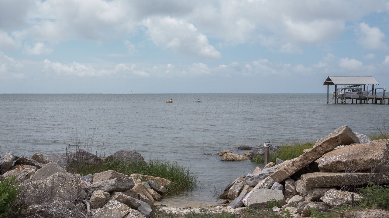 Photo of Others in St. George Island