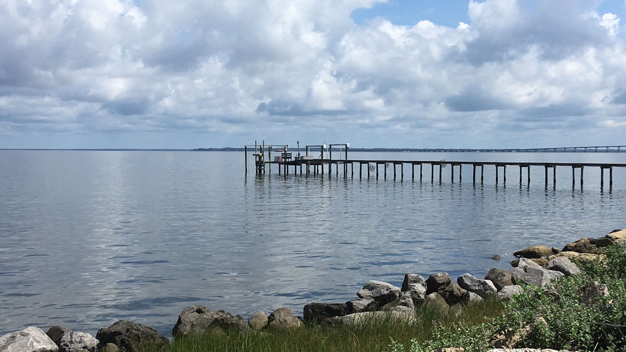 Photo of Others in St. George Island
