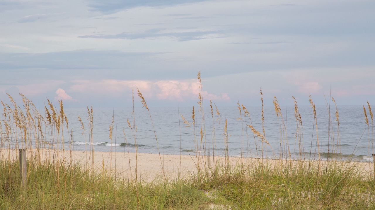 Photo of Others in St. George Island