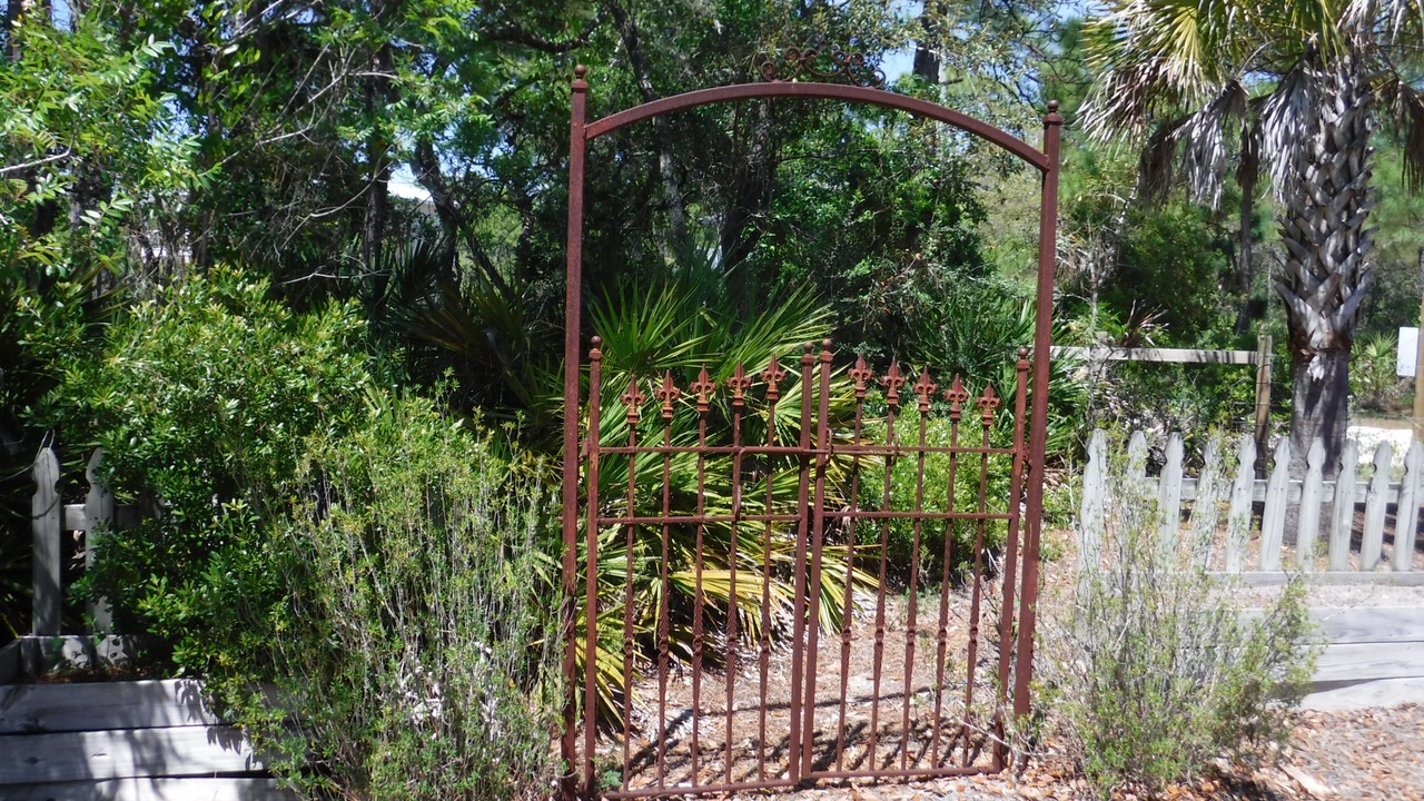 Photo of Outdoor in St. George Island