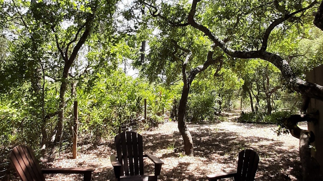 Photo of Outdoor in St. George Island